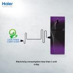 Haier HRF-316IFGA/IFRA 12 CFT Digital Inverter Refrigerator